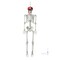 5.4 FT Tall Full Body Skeleton Halloween Decoration with crossbones head scarf and eye patch